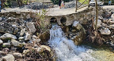 Mesir Tabiat Parkı'na ziyaretçi akını