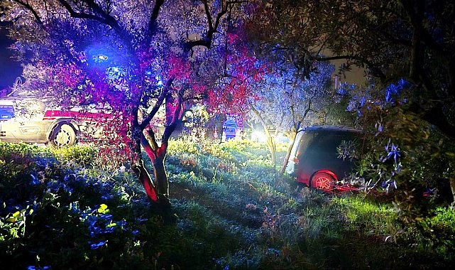 Mudanya'da kazadan kaçan sürücü zeytinliğe daldı