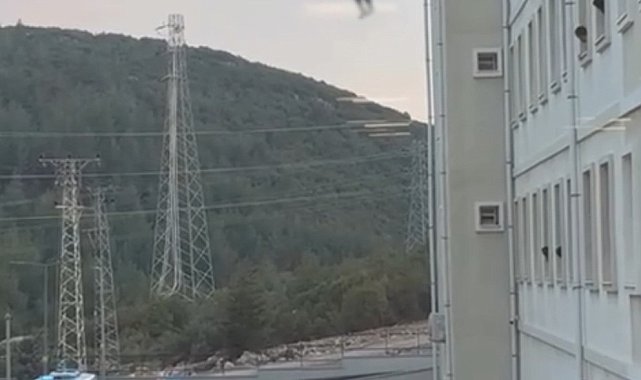 Muğla'da yurdun penceresinden atlayan genç hayatını kaybetti