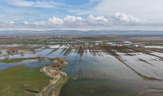 Muş Ovası'nda kar erimesi ve sağanak tarım arazilerini sular altında bıraktı