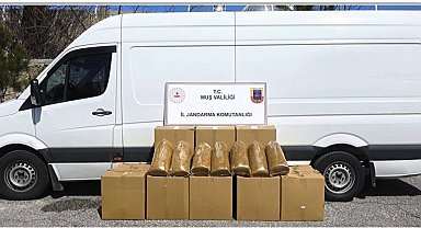 Muş'ta 260 kilogram bandrolsüz tütün ele geçirildi