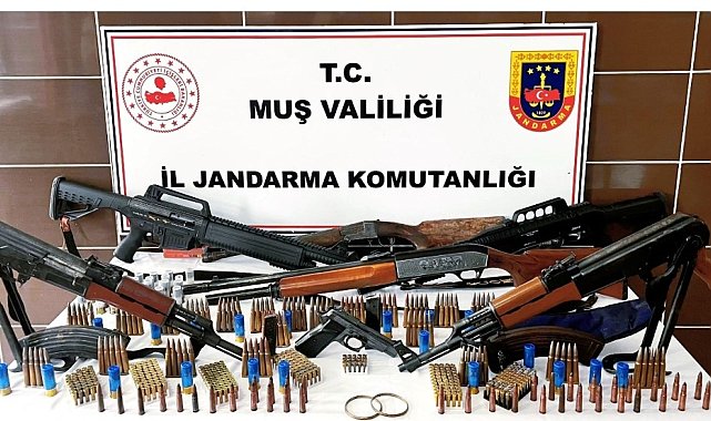 Muş'ta jandarmadan silah ve tarihi eser operasyonu