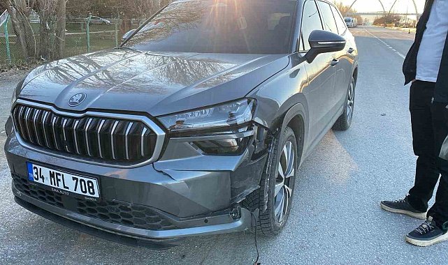 Muş'ta yolun karşısına geçen köpeğe otomobil çarptı