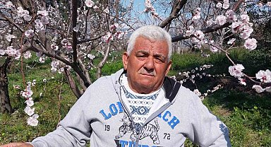 Mut'ta kayısı ağaçları adeta gelinliğe büründü