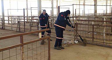 Nazilli Hayvan Pazarı 7 ay sonra yeniden açılıyor