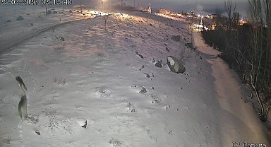 Niğde'de aç kalan kurtlar köye indi