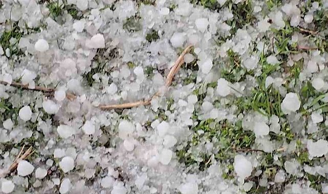 Niğde'de dolu yağışı etkili oldu
