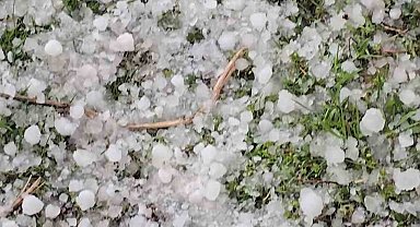 Niğde'de dolu yağışı etkili oldu