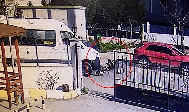 Okul servisine çarpmamak için motosikletten düşüp metrelerce savruldular: O anlar kamerada