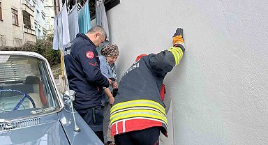 Ordu'da bodrum kattaki kedi sesi ekipleri harekete geçirdi