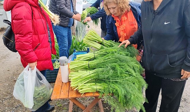 Ot festivali şiddetli yağışla yarıda kaldı