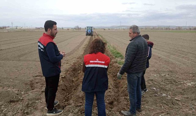 Patates ekimi sezonu başladı