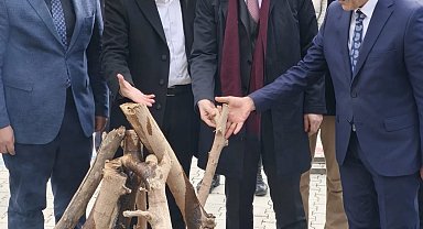 Patnos'ta baharın coşkusu: Nevruz ateşi birlik için yandı