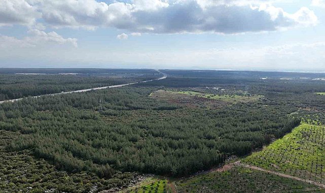 "81 İlde 81 Orman" projesi ilkbahar dikimleriyle devam ediyor