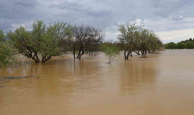 Sağanak yağış Menderes Nehri'ni taşırdı