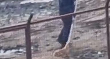 Sakarya Valiliğinden iki ilçedeki barınak görüntülerine ilişkin açıklama