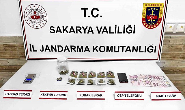 Sakarya'da 3 ilçede eş zamanlı uyuşturucu operasyonu
