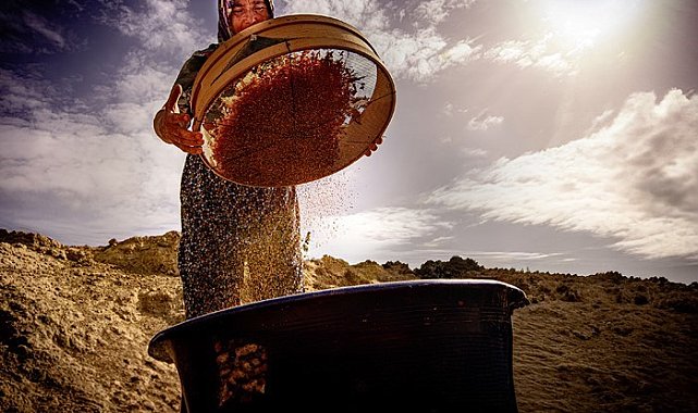 Salihli'de "Hayatın İçinden Kadın Fotoğrafları" sanal sergisi açıldı