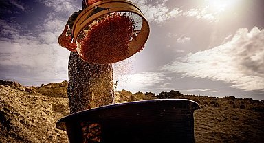 Salihli'de "Hayatın İçinden Kadın Fotoğrafları" sanal sergisi açıldı