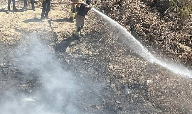 Samandağ'da bahçede çıkan yangın büyümeden söndürüldü