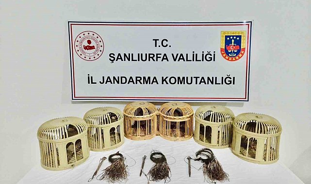 Şanlıurfa'da kaçak keklik avcıları suçüstü yakalandı