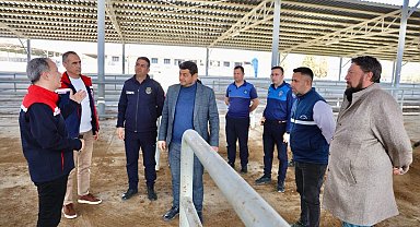 Şap hastalığı nedeniyle kapalı olan hayvan pazarı yeniden açılıyor