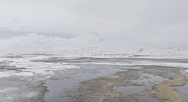 Sarısu sazlıkları ile Süphan Dağı'nın karlı zirvesi göz kamaştırıyor
