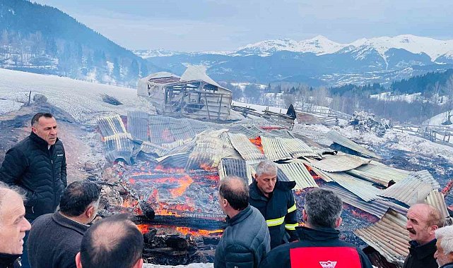 Şavşat'ta yangın: 1 ev, 2 ahır ve 2 ambar kül oldu