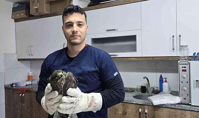 Seydikemer'de yaralı şahin tedavi altına alındı
