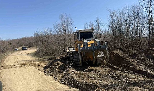 Sinop'a yeni orman nakliye güzergahı