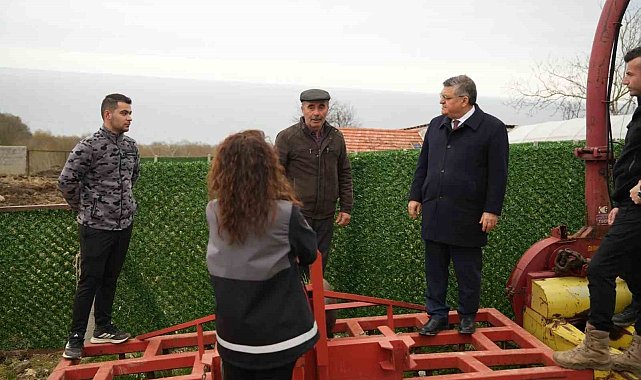 Sinop'ta hayvancılıkta kalite artıyor