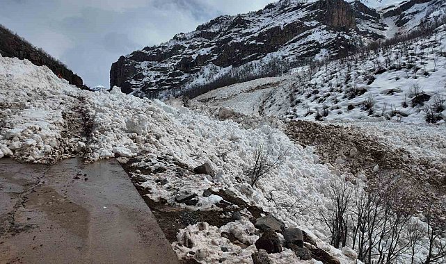 Şırnak'a son dönemlerin en büyük çığı düştü