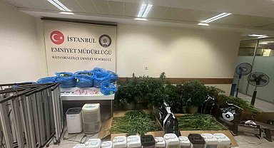 Sultanbeyli'de kenevir serasına baskın: 21 kilo Hint keneviri ele geçirildi