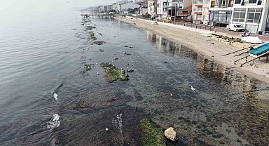 Tekirdağ deniz çekildi 'Kral yolu' ortaya çıktı