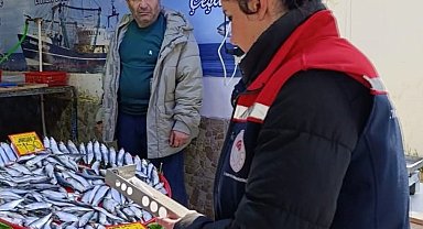 Tekirdağ'da su ürünleri denetimi aralıksız sürüyor