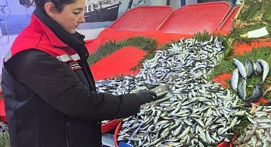 Tekirdağ'da su ürünlerine sıkı denetim