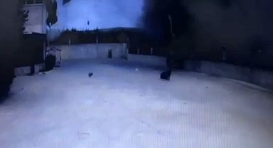Tekirdağ'daki yağ fabrikası patlamasının görüntüleri ortaya çıktı