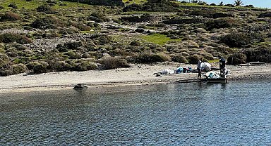 Tilkişen otu toplamaya gittiler, koyu temizlediler