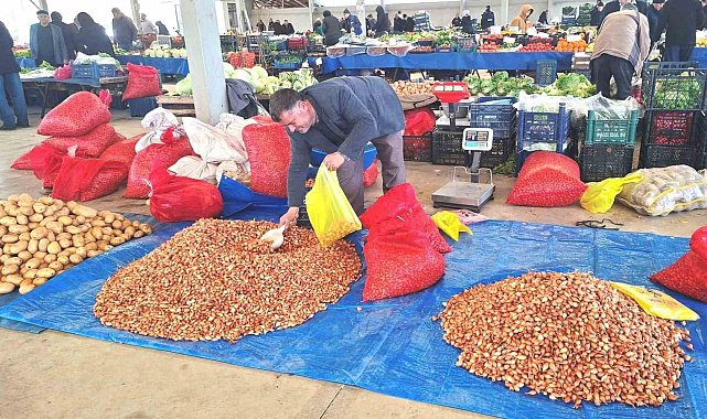 Tohumluk kuru soğanda üretim arttı, fiyat 150 liradan 100 liraya düştü