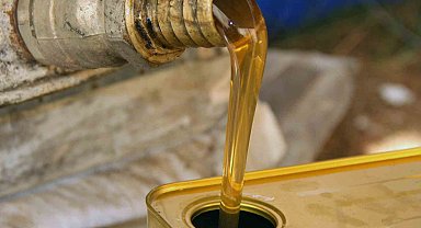 Türk çam balının dünya pazarındaki ekonomik payı arttırılacak