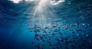 Türkiye o komisyonda gözlemci ülke oldu