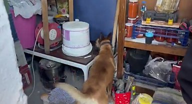 Uyuşturucu ticaretine 14 yıl hapis