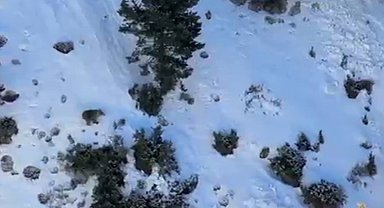 Uzundere'de buz tırmanışında ayı paniği