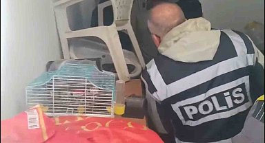 Yabancı turistlerin kredi kartlarını kötü amaçlı kullanan 4 şüpheli yakalandı