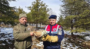 Yaralı Şahin'e Jandarma ekiplerinden yardım eli