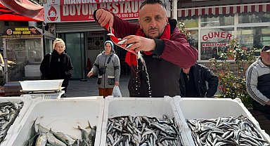 Zonguldak'ta balık tezgahlarında Ramazan mesaisi; hamsi 100 liradan satılıyor