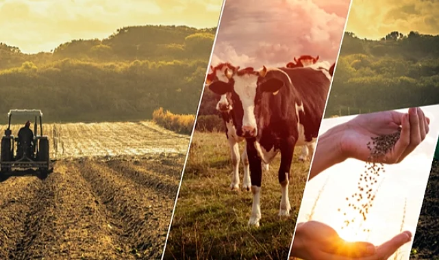 17,4 milyar TL'lik tarımsal destek çiftçilerin hesabında