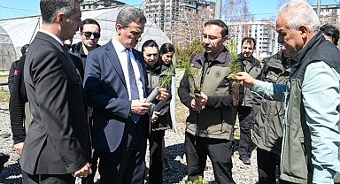 22 yılda 109 milyon 508 bin adet fidan toprakla buluştu