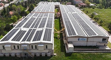 854 ton karbon salınımı önlenerek 34 bin ağaç korundu