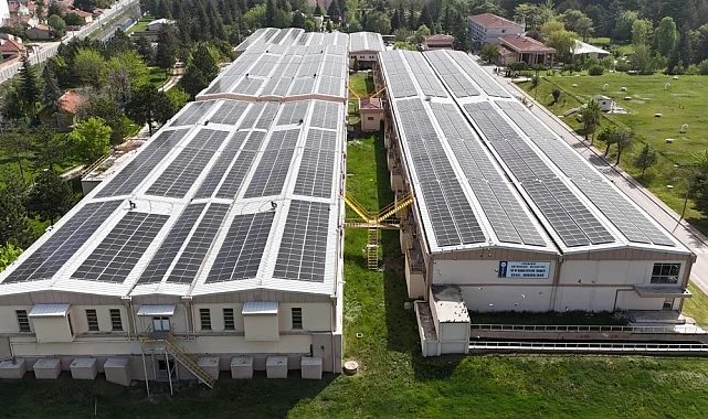 854 ton karbon salınımı önlenerek 34 bin ağaç korundu